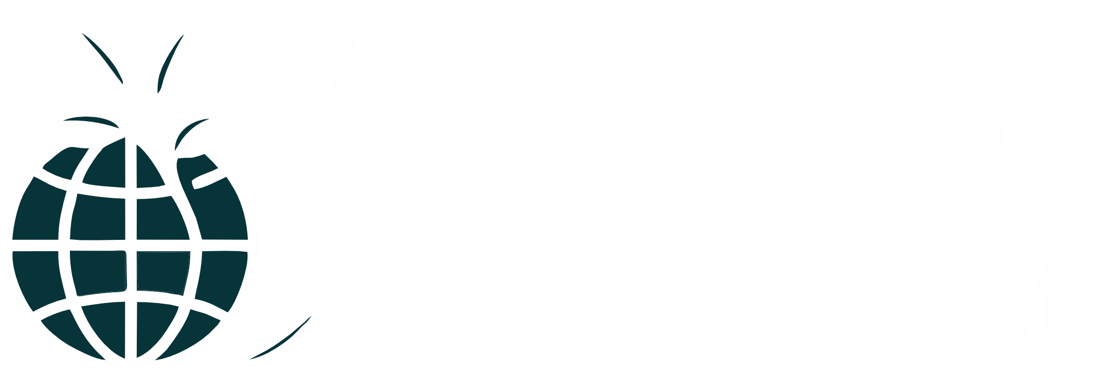 Pure Harvest – Premium Spice Exporter from India | Natural & Authentic Spices